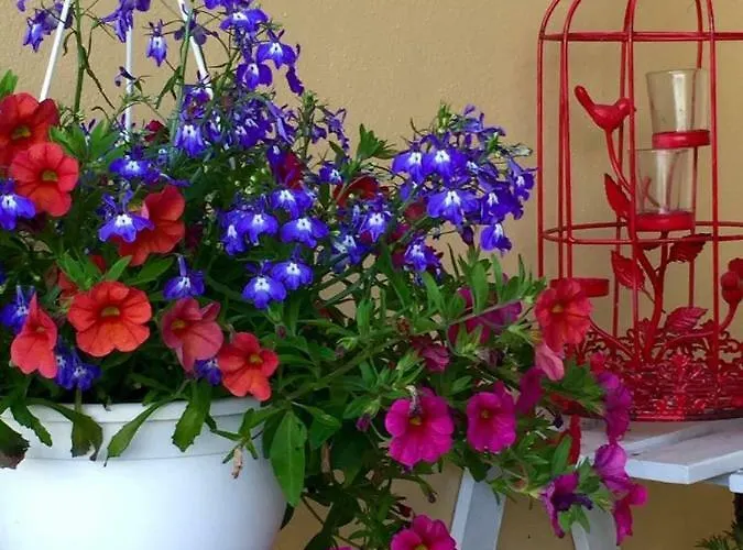 Casa De Ferias Josefa D'obidos * Óbidos