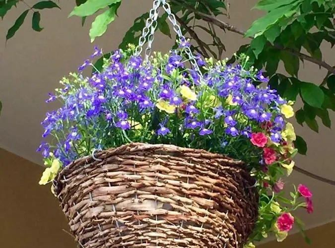 Casa De Ferias Josefa D'obidos *